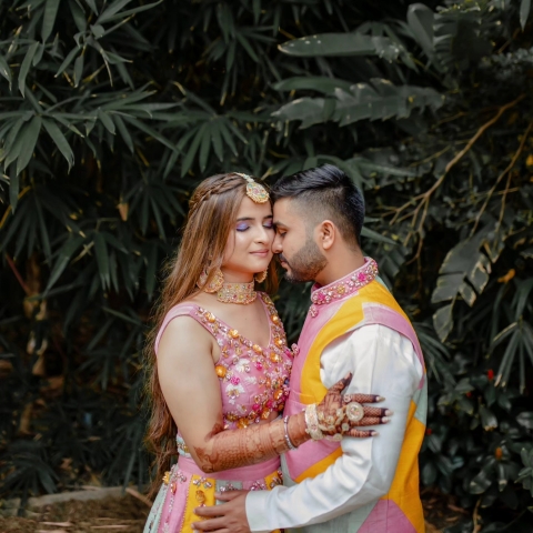 Butterfly Media Creation