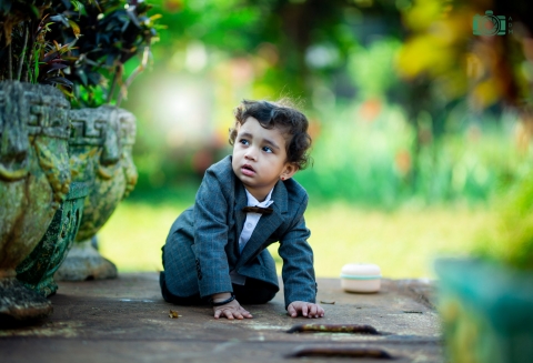 Archee Digital Memories