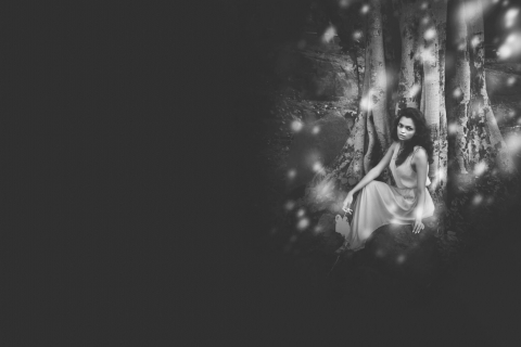 Himanshu Garg Photography