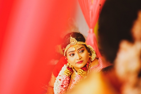 Dazzle Digital Photo Studio