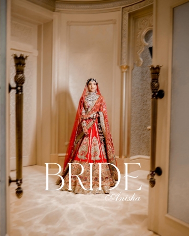 My Vision Photography