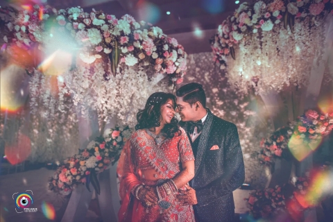 Pixelgaze Photography	