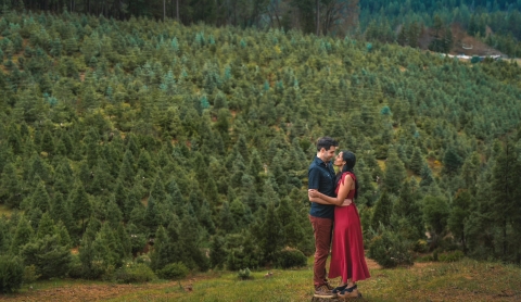 Om Vohra Photography