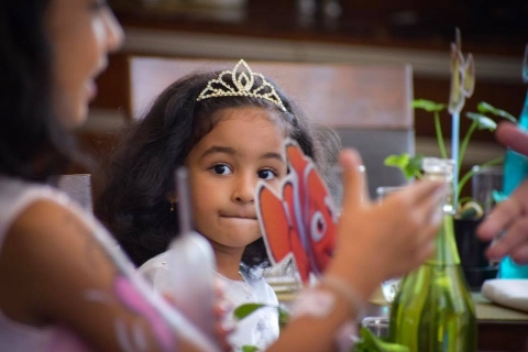 Vishal Anand Photography	