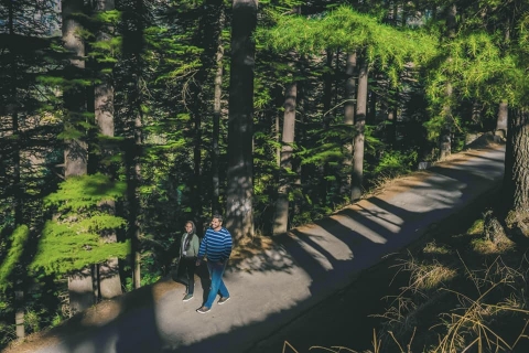 Mayur Bhanage Photography