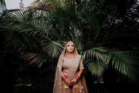 Color Matte Photography