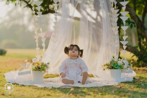 Buddy Bear Photography