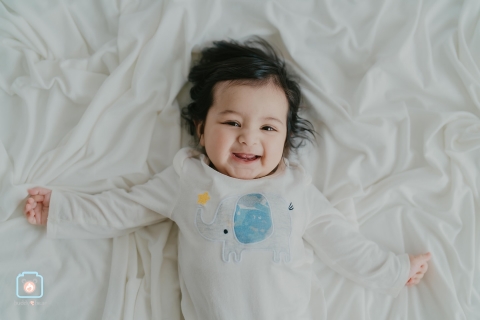 Buddy Bear Photography