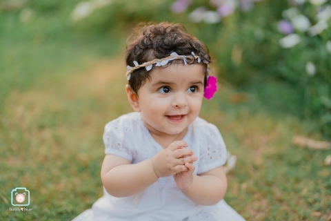 Buddy Bear Photography