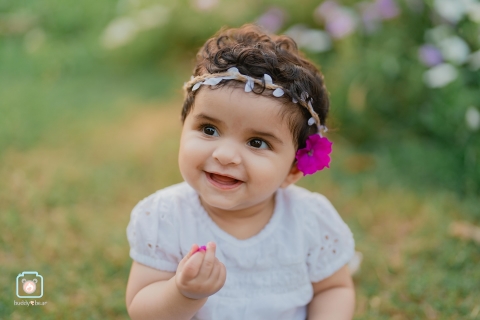 Buddy Bear Photography