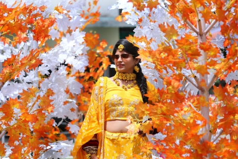 Kashish Digital Studio