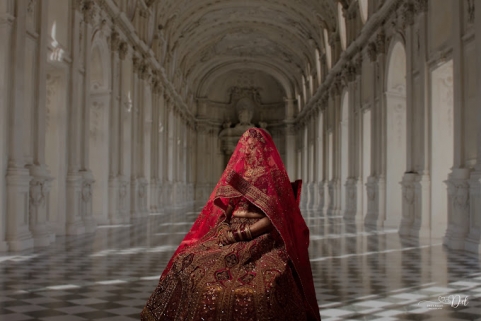 Dreamday Photography