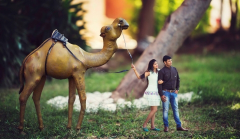 The Pineapple Productions