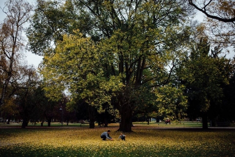 Abhishek Vijay Photography