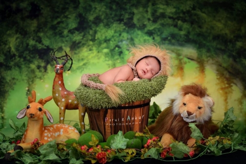 Parul & Ankur Kaushal Photogra