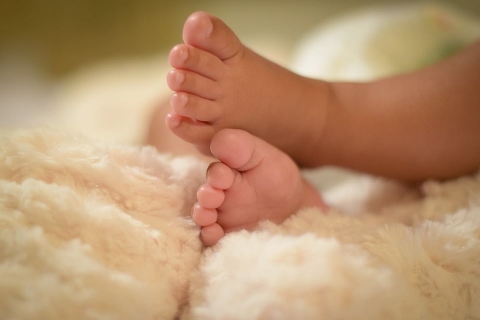 PR Brothers Photography	