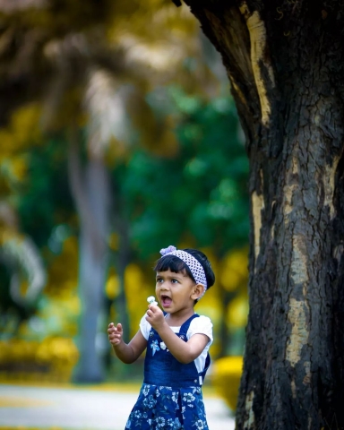 	Karan Photography Chandigarh