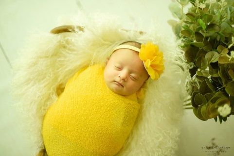 Neha Katroliya Photography