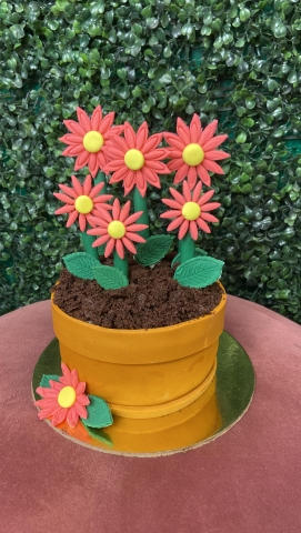 Sweet N Savoury Bakery