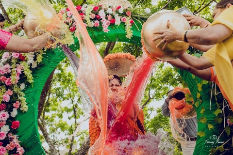 Freezing Frames Photography