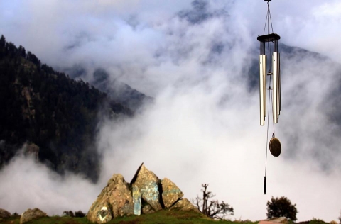 Anu Jacob Photography