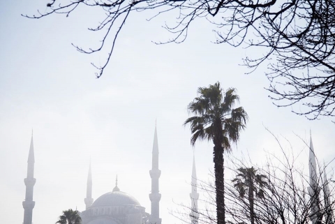 Anu Jacob Photography