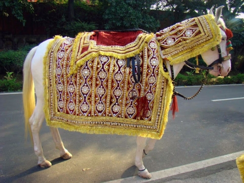 Shiv Sai Band gurgaon