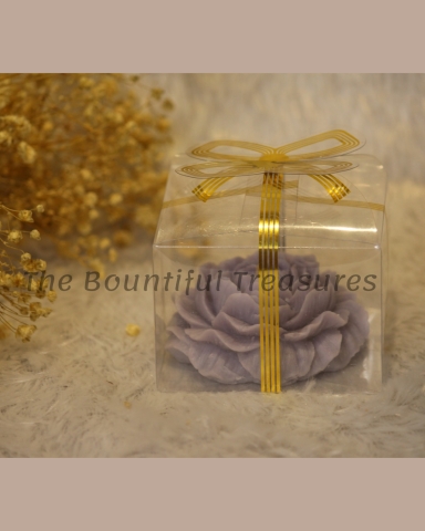 The Bountiful Treasures