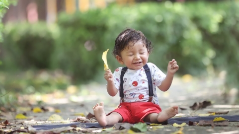 Anil digital Photography