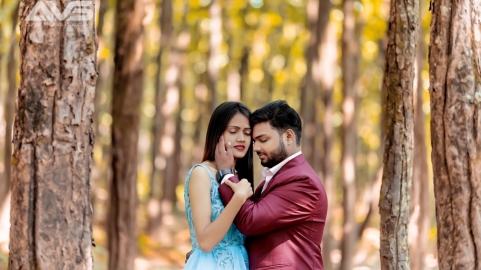 Anil digital Photography