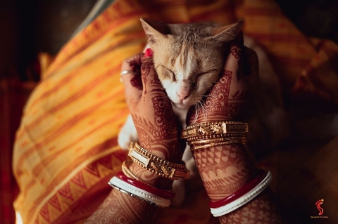 Charcoal & Vermillion	