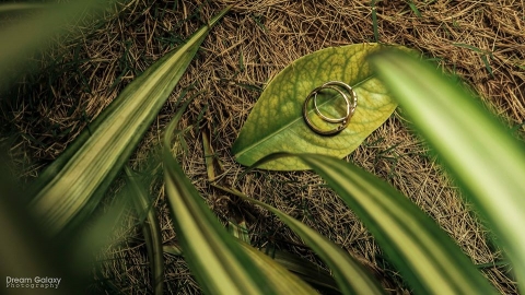 Dream Galaxy Photography	