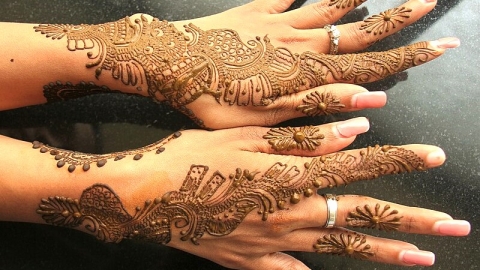 Mehndi Artist 