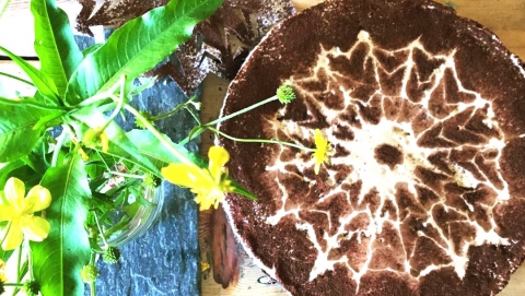 The Birdhouse Cakery