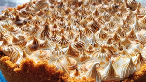 The Birdhouse Cakery