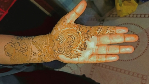 Salma Khan Mehndi ArtistSalma 
