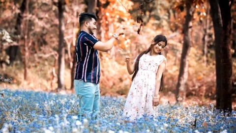 Studio 7 Photography