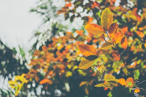 Praveen Pillay Photography	