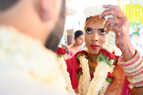 Dreamcolors Photography