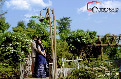 The Candid Stories 10