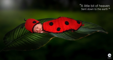 Firstclick Photography