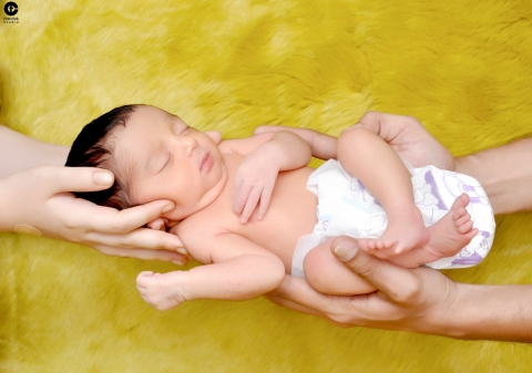 Firstclick Photography