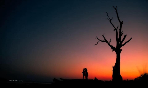 Mohan Deshik Photography	