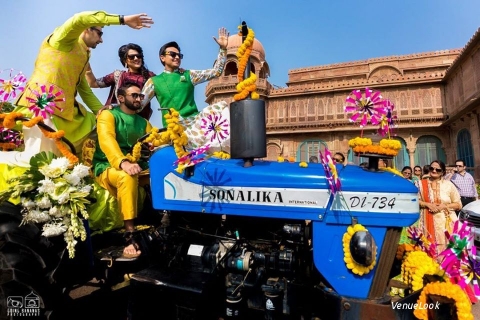 Going Bananas Photography