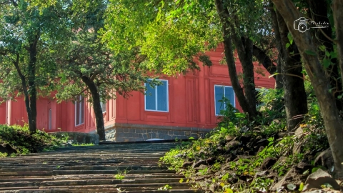 Clickedin Photography