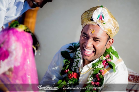 The Dreamlane Studios	