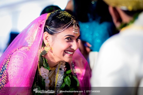 The Dreamlane Studios	