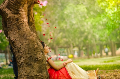 Bokeh Boulevard Pictures	