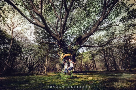 Bokeh Boulevard Pictures	