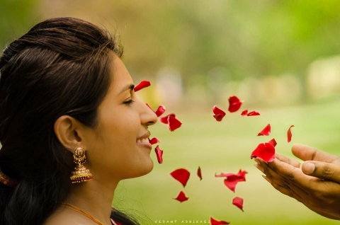 Bokeh Boulevard Pictures	